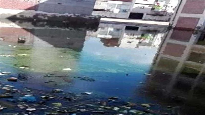 مدرسة بسطرة بدمنهور