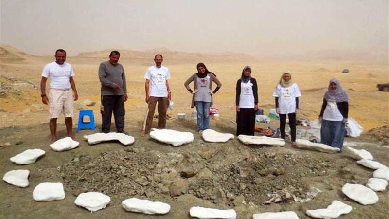 اكتشاف ديناصور يزن