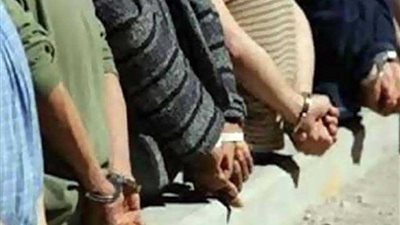 سقوط تشكيل عصابي تخصص في سرقة المواشي بكفر شكر