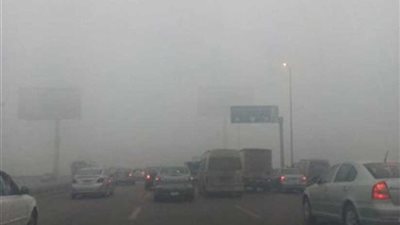 بالفيديو| الأرصاد: شبورة كثيفة تصل لحد الضباب.. والصغرى بالقاهرة 11 درجة
