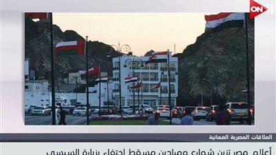 أعلام مصر في استقبال 