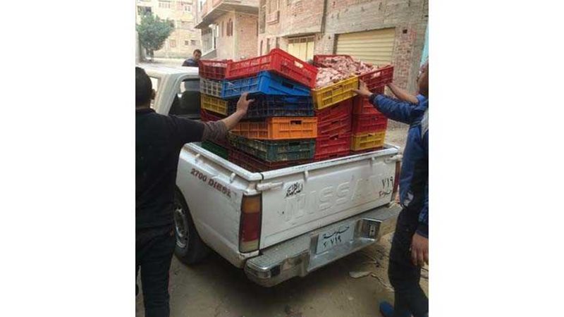 ضبط دواجن فاسدة بمجزر