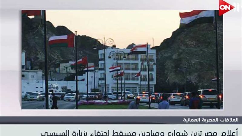 أعلام مصر في استقبال