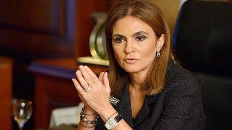 وزيرا الاستثمار وقطاع