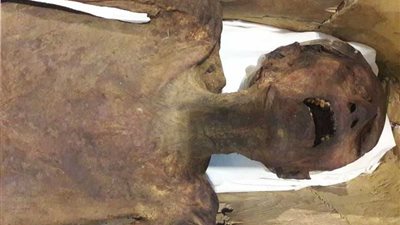 المتحف المصري يعرض 3 قطع أثرية جديدة