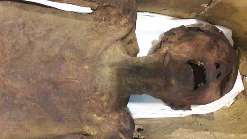 المتحف المصري يعرض