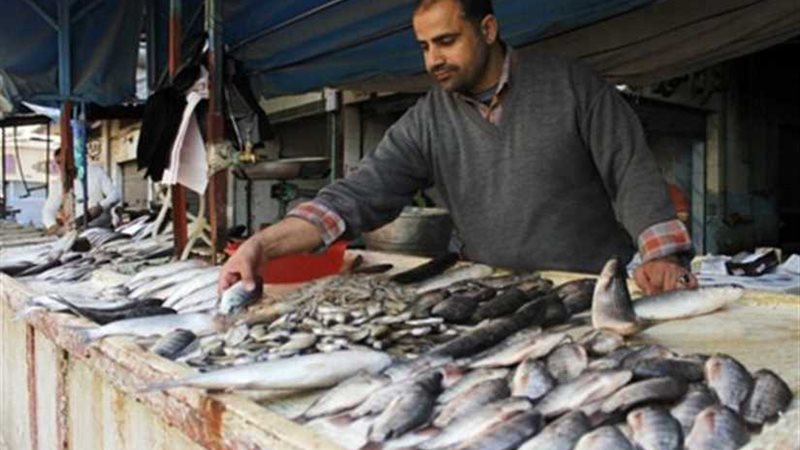 سوق السمك المتطور