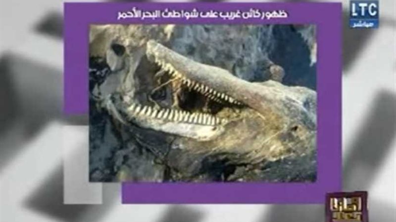 حقيقة الوحش الغريب