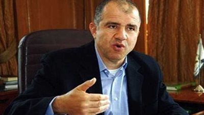 الفيومي يطالب الخروج بالملايين أمام لجان انتخابات الرئاسة