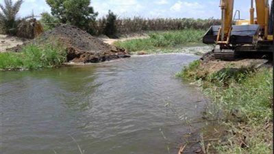 إزالة 221 حالة تعد على طرح النيل والأراضي الزراعية بالمنيا