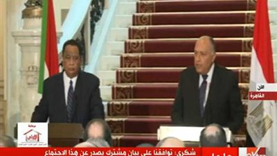 وزير الخارجية يطالب الإعلام بعدم الإساءة للشعب السوداني (فيديو)