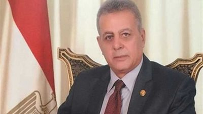 الجوهري: تركيا أصابها الخبل.. وجاهزون للدفاع عن حدودنا