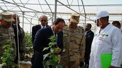 تفاصيل افتتاح السيسي مشروعات الصوب الزراعية بمطروح