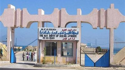 معهد علوم البحار يدشن اتحاد منتجي الأحياء المائية في مصر