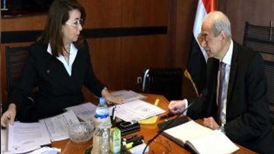 الحكومة تستعرض موقف التأمينات الاجتماعية للعمالة غير المنتظمة