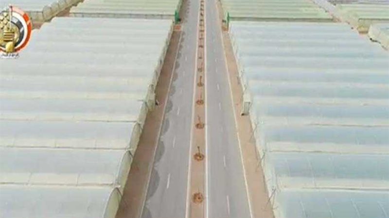 بث مباشر.. السيسي