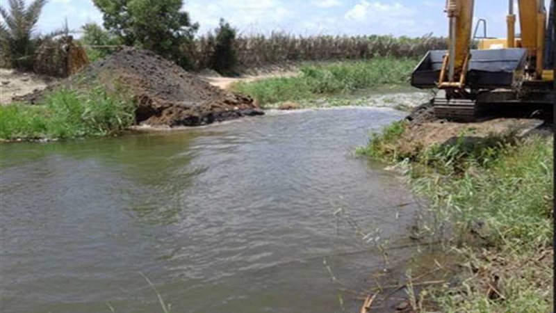 إزالة 221 حالة تعد