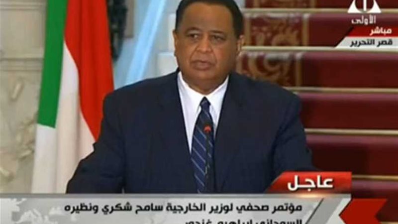 وزير الخارجية السوداني