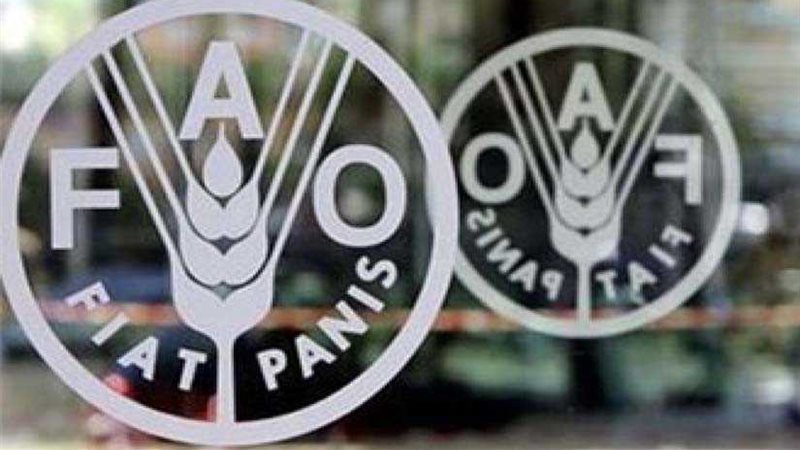 لمواجهة المجاعة..