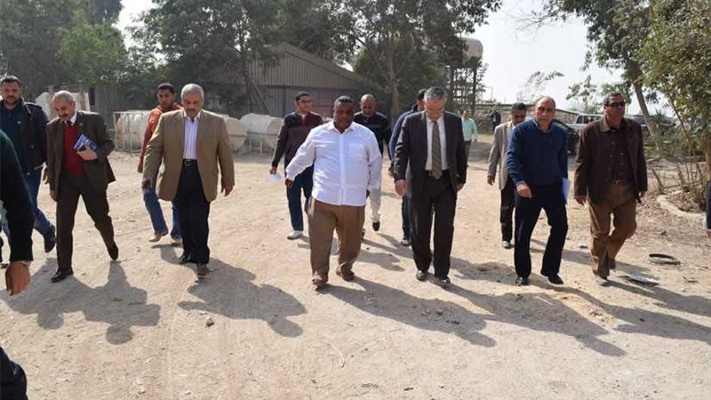 محافظ المنيا يتفقد