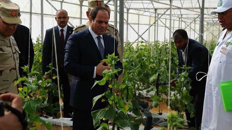 مصر الخضراء.. تعرف