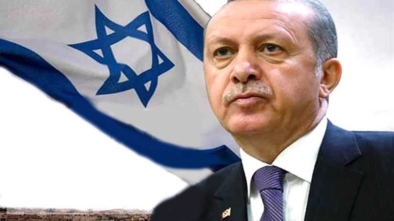 سياسيون: أردوغان