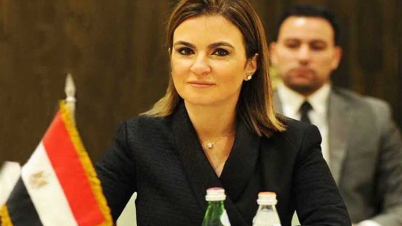 وزارة الاستثمار تصدر