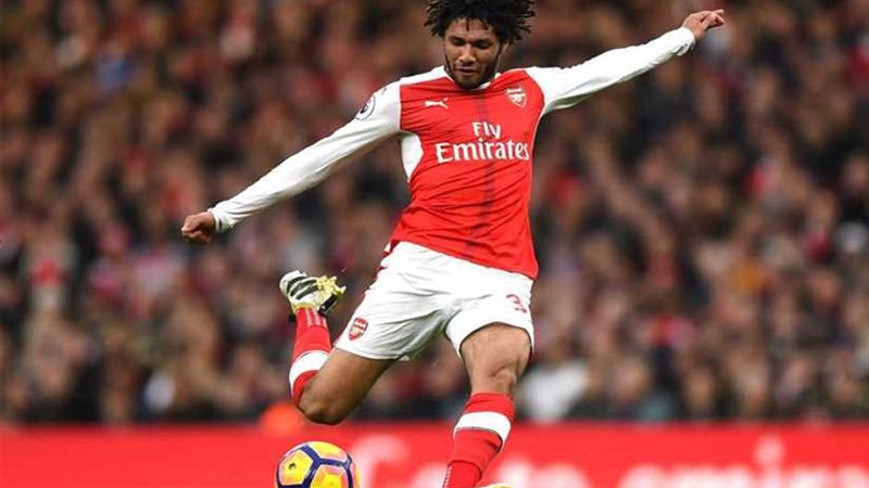 الننى أساسيا فى مواجهة