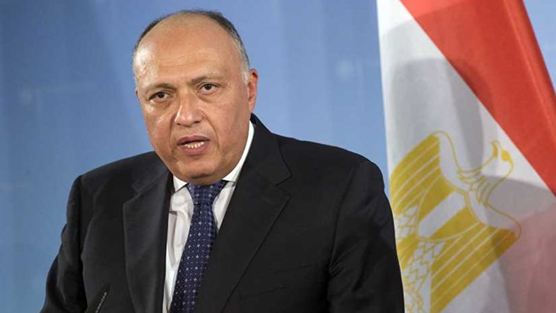 شكري ونظيره الأمريكي