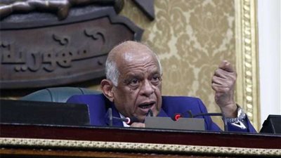 رئيس النواب: صندوق تعويض أسر الشهداء تكريمًا لتضحيات أبنائهم