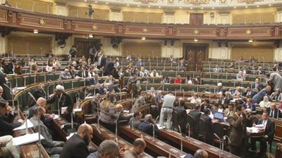 نواب يدعمون قانون تعويض أسر الشهداء: 