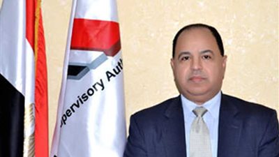 المالية: 34 مليار جنيه إجمالي استثمارات النصف الأول بالعام المالي