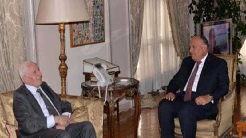 شكري يبحث مع عزام