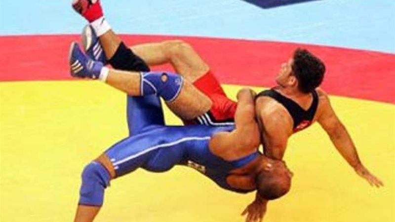 حسن حسن وسمر عامر