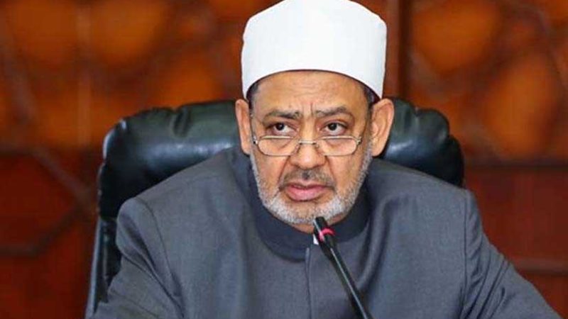 شيخ الأزهر يشيد بدور