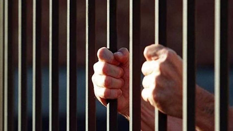 إحالة 29 موظفًا بالسنطة