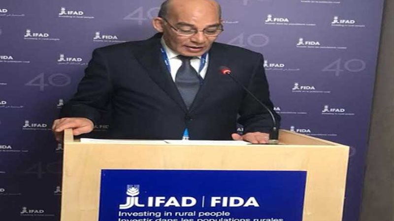 البنا في الإيفاد: