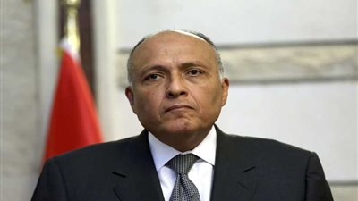 شكري: تجربة الأعوام السبعة أكدت زيادة الوعي السياسي للشعب المصري