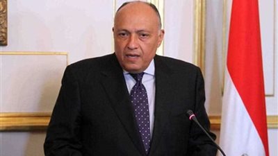 سامح شكري يتلقى اتصالًا من وزير خارجية روسيا