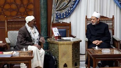 الإمام الأكبر: علماء الصومال مسؤولون عن مواجهة الأفكار المتطرفة