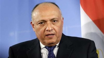 شكرى يشيد بتطور العلاقات مع الصين ومستوى الشراكة الاستراتيجية