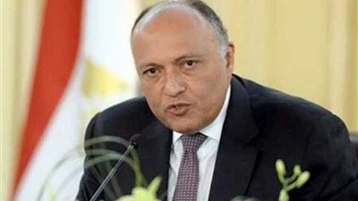 شكري لوزيرة دفاع فرنسا: مصر عازمة علي اقتلاع جذور الإرهاب من أراضيها