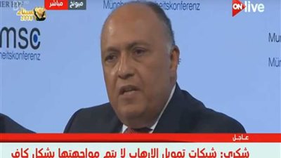 سامح شكري: عثرنا على 50 مخزن سلاح في سيناء (فيديو)