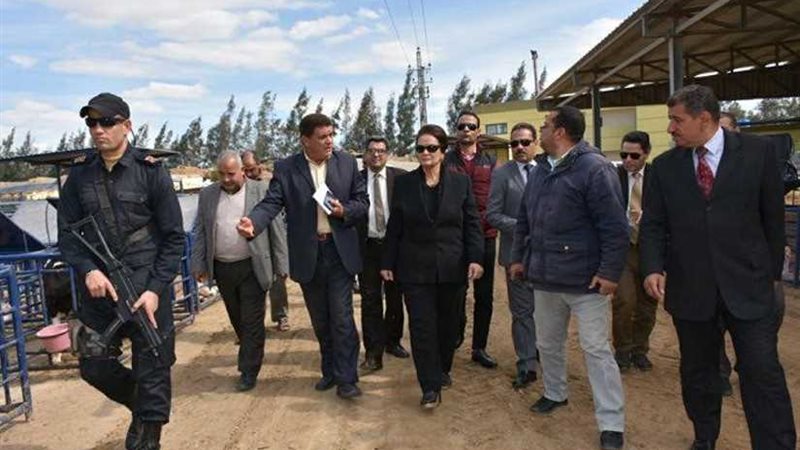 محافظ البحيرة تتفقد