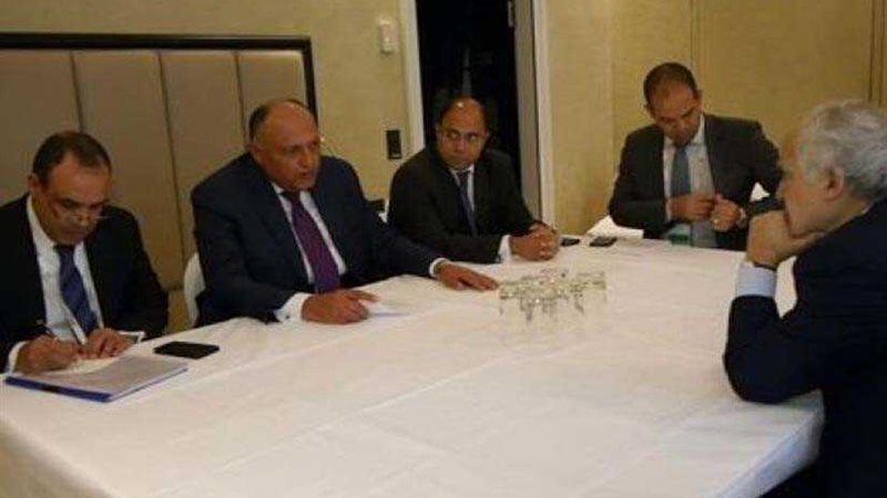 شكري يلتقي المبعوث