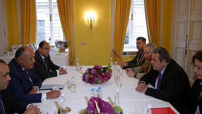 شكري يبحث مع وزير