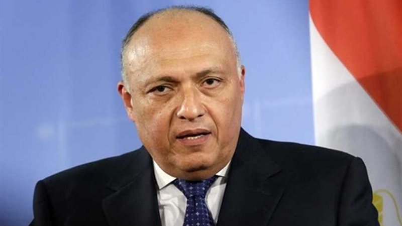 شكرى يشيد بتطور العلاقات