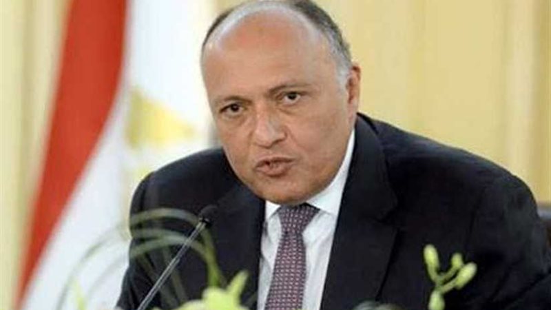 شكري لوزيرة دفاع