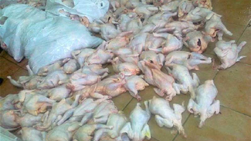 خلال أسبوع.. ضبط