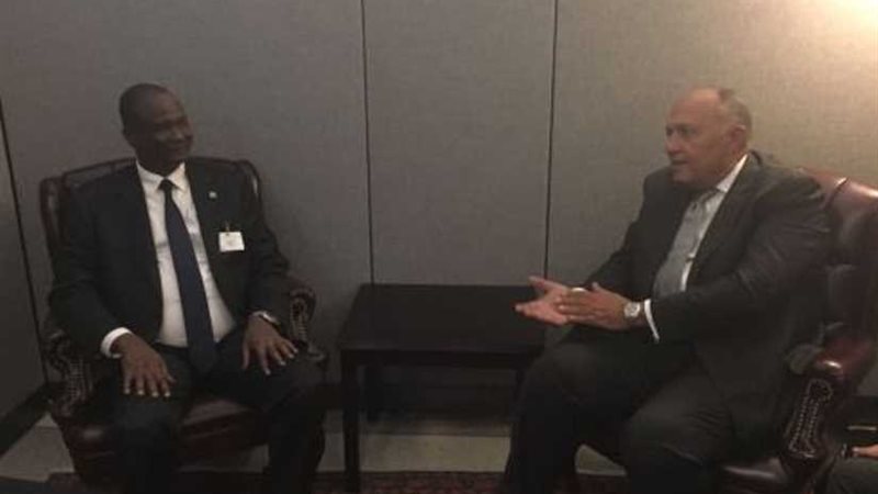 شكري يؤكد لـدنج دعم